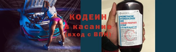 шишки Наволоки