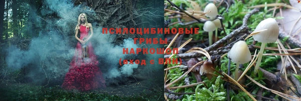 шишки Наволоки