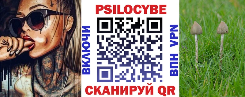 Псилоцибиновые грибы мицелий  Онега 
