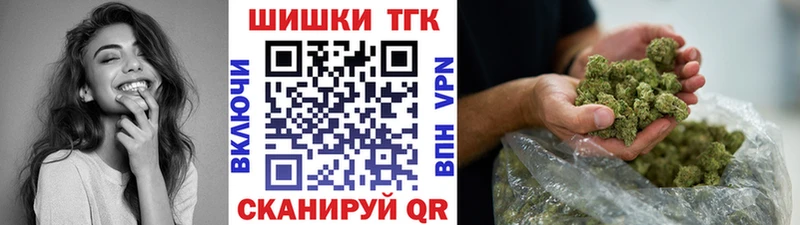 Шишки марихуана сатива  Онега 